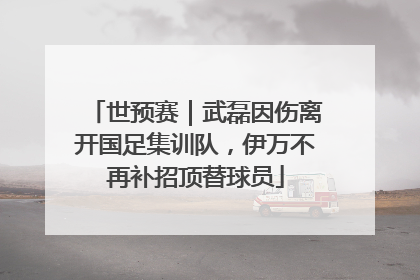 世预赛｜武磊因伤离开国足集训队，伊万不再补招顶替球员