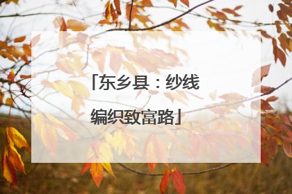 东乡县：纱线编织致富路