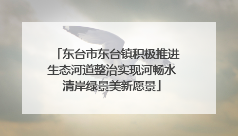 东台市东台镇积极推进生态河道整治实现河畅水清岸绿景美新愿景
