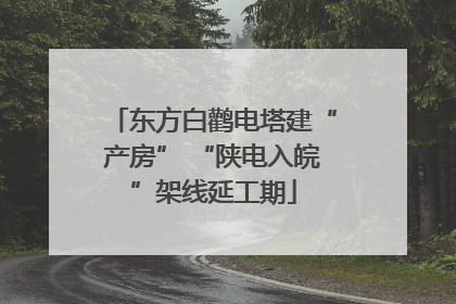 东方白鹳电塔建“产房” “陕电入皖”架线延工期