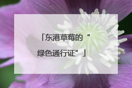 东港草莓的“绿色通行证”