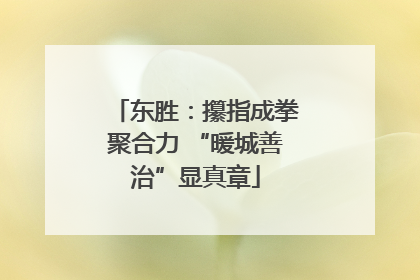 东胜：攥指成拳聚合力 “暖城善治”显真章