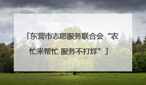 东营市志愿服务联合会“农忙来帮忙 服务不打烊”