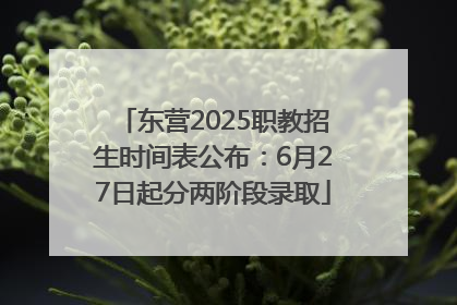 东营2025职教招生时间表公布：6月27日起分两阶段录取