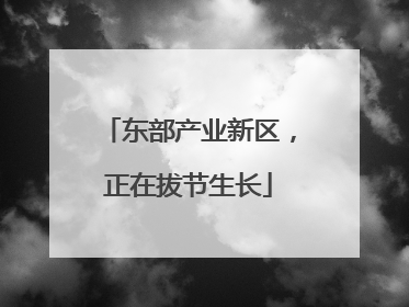 东部产业新区，正在拔节生长