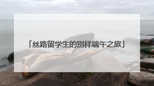 丝路留学生的别样端午之旅