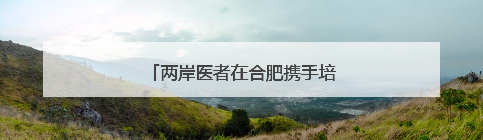 两岸医者在合肥携手培训贵州毕节基层医师