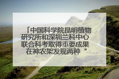 中国科学院昆明植物研究所和深圳兰科中心联合科考取得重要成果 在神农架发现两种“国保”级兰花