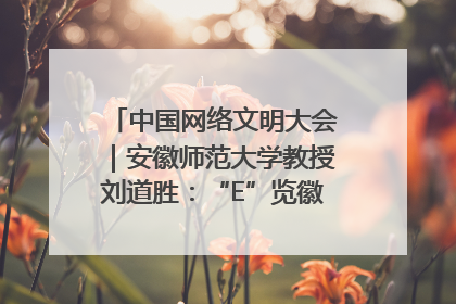 中国网络文明大会｜安徽师范大学教授刘道胜：“E”览徽风，构筑中华民族共有精神家园