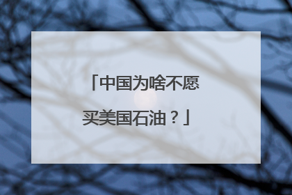 中国为啥不愿买美国石油？