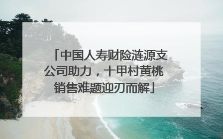 中国人寿财险涟源支公司助力，十甲村黄桃销售难题迎刃而解