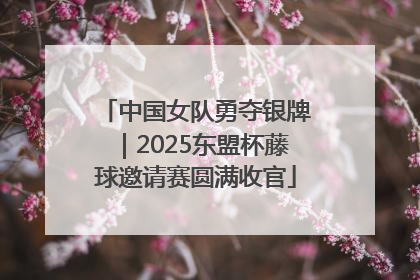 中国女队勇夺银牌｜2025东盟杯藤球邀请赛圆满收官