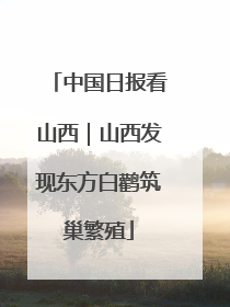 中国日报看山西｜山西发现东方白鹳筑巢繁殖