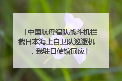 中国航母编队战斗机拦截日本海上自卫队巡逻机，我驻日使馆回应