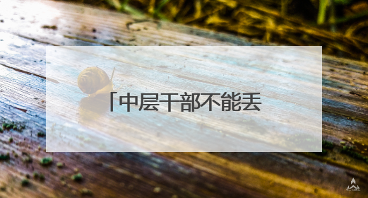 中层干部不能丢“专业之心”