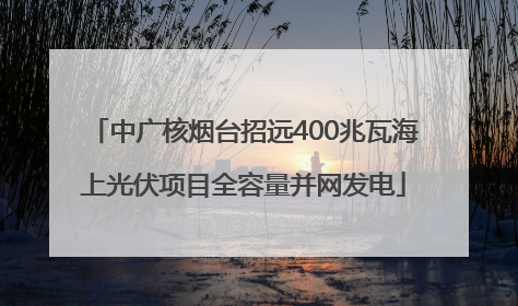 中广核烟台招远400兆瓦海上光伏项目全容量并网发电