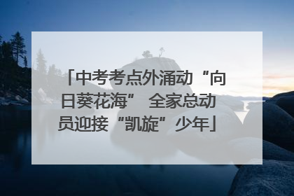 中考考点外涌动“向日葵花海” 全家总动员迎接“凯旋”少年