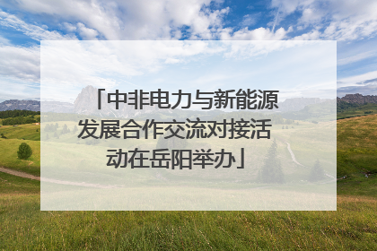 中非电力与新能源发展合作交流对接活动在岳阳举办