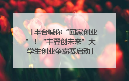丰台喊你“回家创业”！“丰翼创未来”大学生创业争霸赛启动