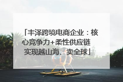 丰泽跨境电商企业：核心竞争力+柔性供应链 实现越山海、卖全球