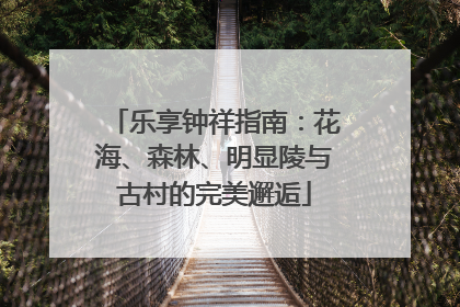 乐享钟祥指南：花海、森林、明显陵与古村的完美邂逅