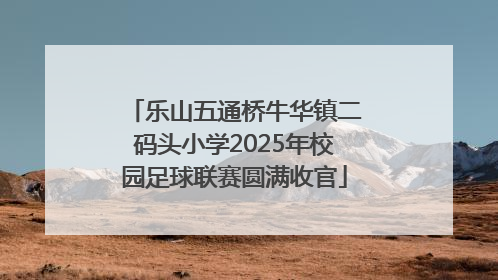 乐山五通桥牛华镇二码头小学2025年校园足球联赛圆满收官
