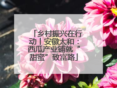 乡村振兴在行动丨安徽太和：西瓜产业铺就“甜蜜”致富路