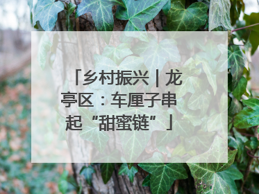 乡村振兴｜龙亭区：车厘子串起“甜蜜链”