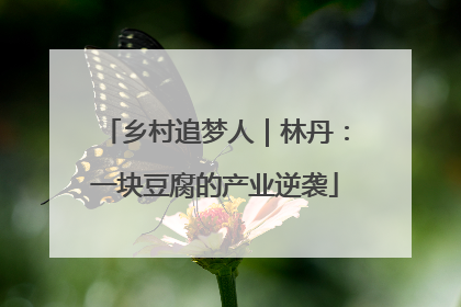乡村追梦人｜林丹：一块豆腐的产业逆袭