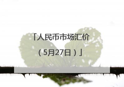 人民币市场汇价（5月27日）