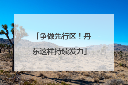 争做先行区！丹东这样持续发力