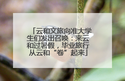 云和文旅向准大学生们发出召唤：来云和过暑假，毕业旅行从云和“卷”起来