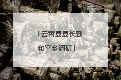 云霄县县长到和平乡调研