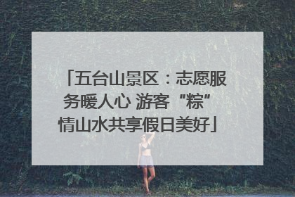 五台山景区：志愿服务暖人心 游客“粽”情山水共享假日美好