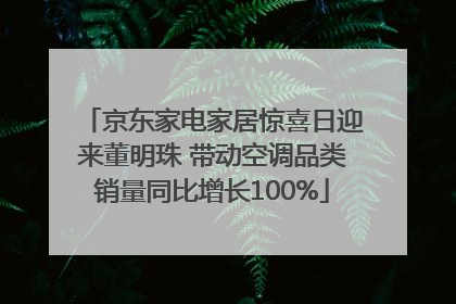 京东家电家居惊喜日迎来董明珠 带动空调品类销量同比增长100%