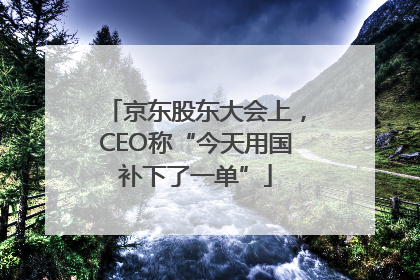 京东股东大会上，CEO称“今天用国补下了一单”