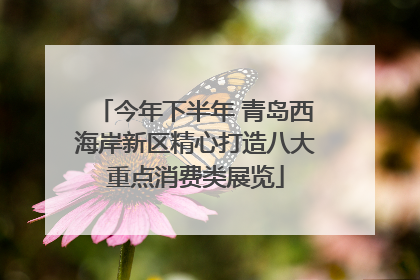 今年下半年 青岛西海岸新区精心打造八大重点消费类展览