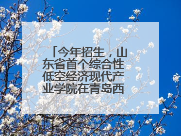 今年招生，山东省首个综合性低空经济现代产业学院在青岛西海岸新区揭牌