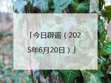 今日辟谣（2025年6月20日）