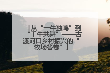 从“一牛独鸣”到“千牛共舞”——古渡河口乡村振兴的“牧场答卷”