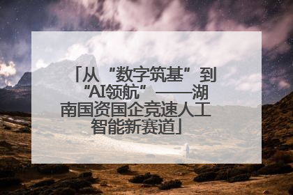 从“数字筑基”到“AI领航”——湖南国资国企竞速人工智能新赛道