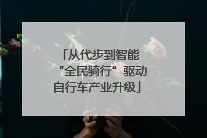 从代步到智能 “全民骑行”驱动自行车产业升级