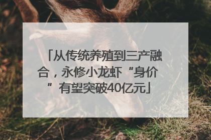 从传统养殖到三产融合，永修小龙虾“身价”有望突破40亿元