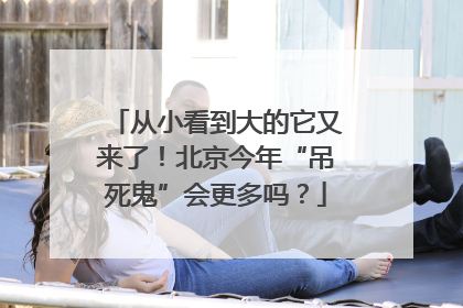 从小看到大的它又来了！北京今年“吊死鬼”会更多吗？