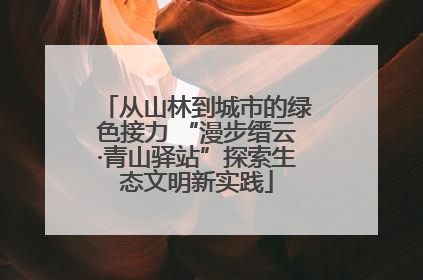 从山林到城市的绿色接力 “漫步缙云·青山驿站”探索生态文明新实践