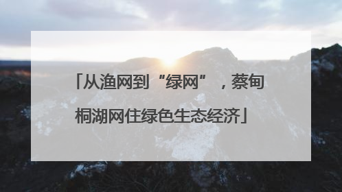 从渔网到“绿网”，蔡甸桐湖网住绿色生态经济