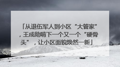 从退伍军人到小区“大管家”，王成勋啃下一个又一个“硬骨头”，让小区面貌焕然一新