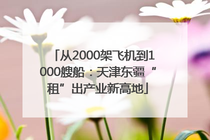 从2000架飞机到1000艘船：天津东疆“租”出产业新高地