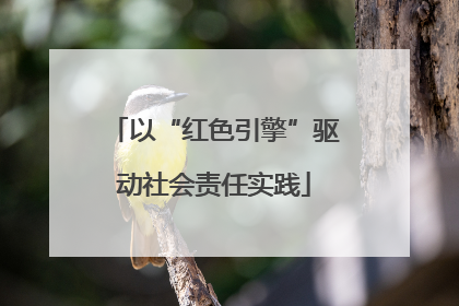 以“红色引擎”驱动社会责任实践