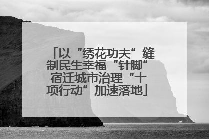 以“绣花功夫”缝制民生幸福“针脚” 宿迁城市治理“十项行动”加速落地
